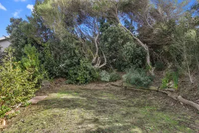 Private backyard with natural coastal bush surrounds — quiet, sheltered, and full of birdlife.
