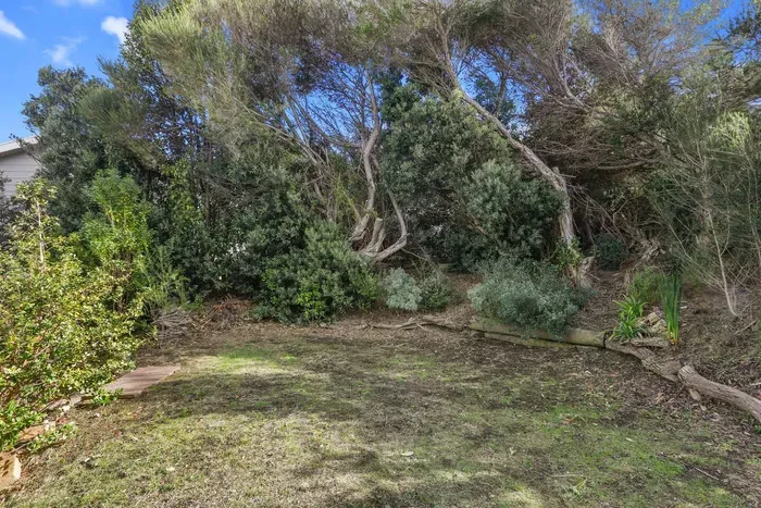 Private backyard with natural coastal bush surrounds — quiet, sheltered, and full of birdlife.