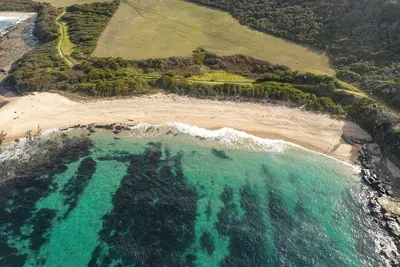 Beachfront Bliss: Unwind on pristine shores with stunning ocean and nature views!