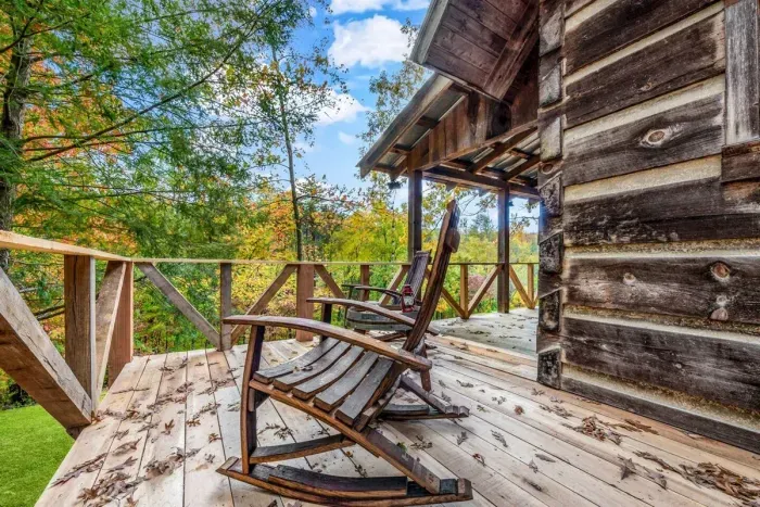 Capturing a view of nature