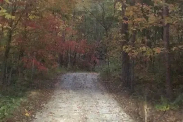 Driveway in the fall