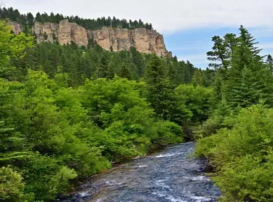 Spearfish Canyon is towering and impressive, making it a must-see destination in the Black Hills for its breathtaking views and natural beauty.