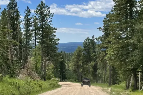 Trails in the Black Hills are an incredible adventure.  Our family loves to go out as a group and explore the Black Hills.
