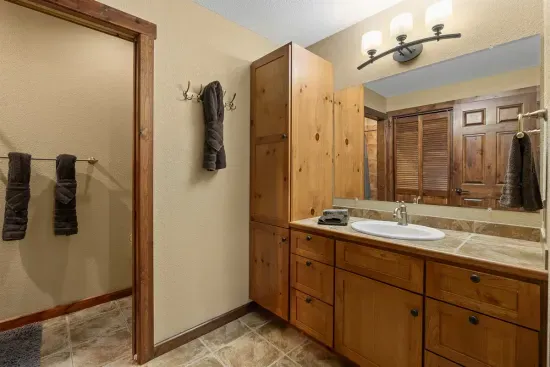 Lower level bathroom.