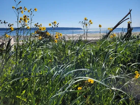Bells Beach is a 10 minute walk from the house.