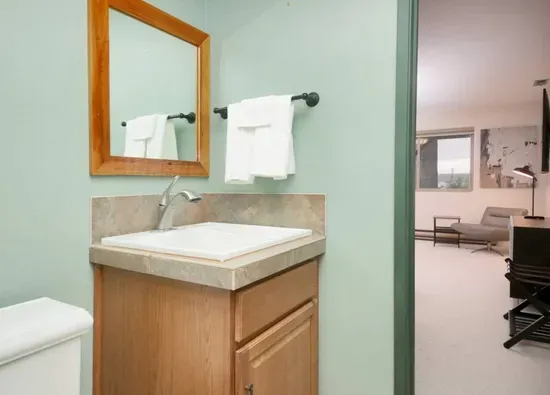 The downstairs bedroom also features a dedicated half-bath.