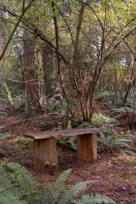 The trail to Possession Point Waterfront Park features several benches where hikers can pause and take in the scenic views.