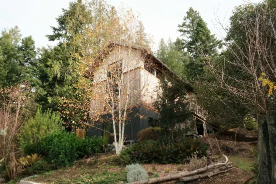Tucked into the hillside and surrounded by trees, Hillside Haven offers a peaceful sanctuary.