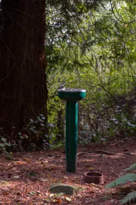 On the trail to Possession Beach Waterfront Park, guests and their dogs are welcome to stop for a drink of water.