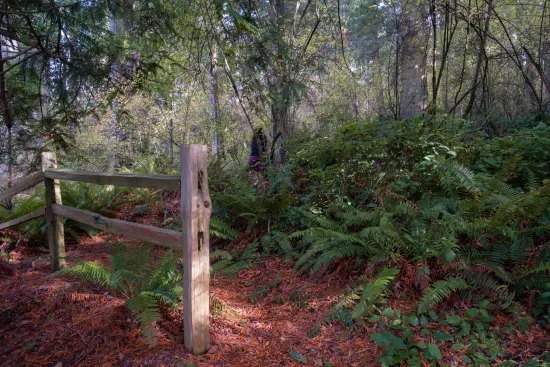 The trail to Possession Point Waterfront Park is a 20-25 minute walk from back of the house.