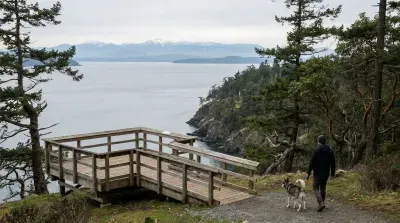 Man and husky walk on a scenic overlook on Whidbey Island