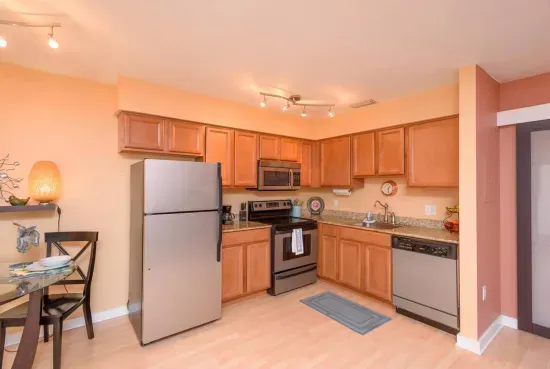 Urban Oasis near Hyde Park, Walkable to Downtown - image 19 of 28