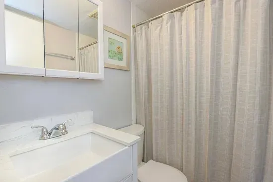 Urban Oasis near Hyde Park, Walkable to Downtown - image 10 of 28