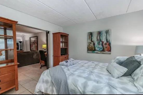 Urban Oasis near Hyde Park, Walkable to Downtown - image 3 of 28