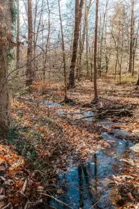 Rockwell Ridge | Lodge for Your Blue Ridge Getaway - image 111 of 174