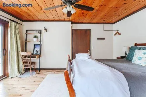 Bright, rustic bedroom featuring a warm wood-paneled ceiling, ceiling fan, comfortable bed, natural wood flooring, a small workspace, and soft green patterned curtains.