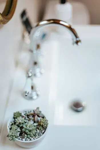 Minimalist bathroom detail featuring a polished chrome faucet, white porcelain tub, and a small bowl of succulents, photographed with a soft, dreamy shallow depth of field.