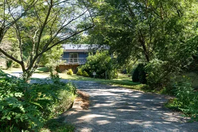 Peaceful wooded approach to the retreat, with a winding driveway surrounded by lush greenery and mature trees.