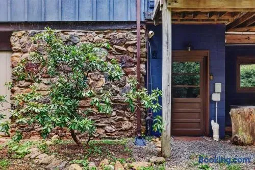 Charming rustic cabin entrance featuring a natural stone wall, lush greenery, deep blue exterior, and warm wood-framed doorway beneath a covered porch.