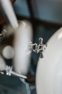 Close-up of the claw-foot tub’s classic chrome fixtures and elegant detailing.