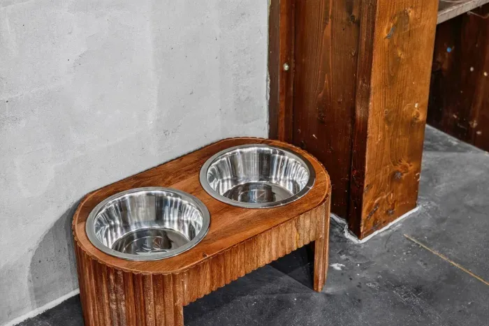 Pet-friendly feeding station with two stainless steel bowls on a rustic wooden stand.
