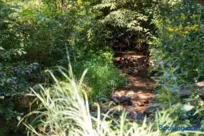 The Retreat - image 194 of 213