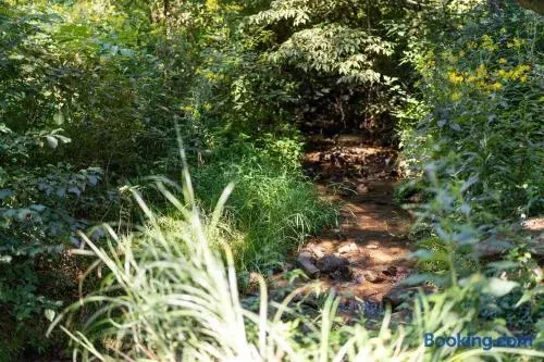 The Retreat - image 194 of 213