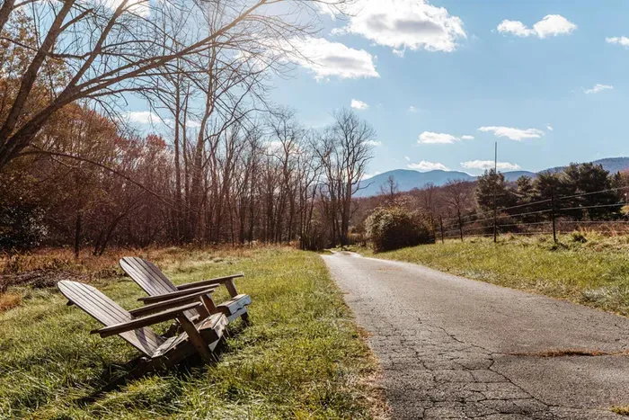Rockwell Ridge | Estate with Afton Mountain Views - image 63 of 107