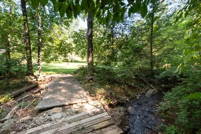 Scenic woodland trail crossing a peaceful creek, surrounded by lush greenery.