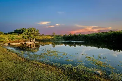 Cabin on Four-Acre Pond - image 18 of 72