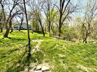 In the Woods