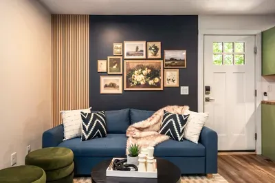Cozy designer living room with bold accent wall and stylish blue sofa