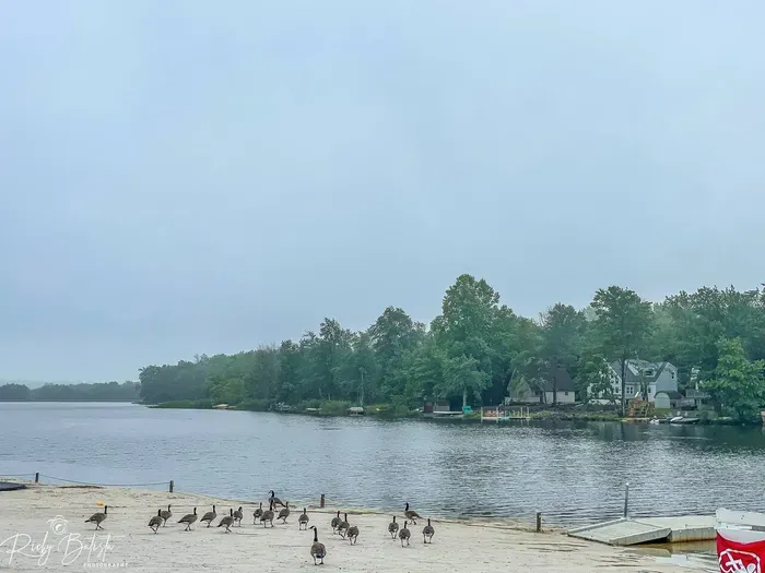 Waters Edge Hideaway - image 62 of 96