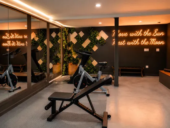 Boutique-style fitness room with cardio equipment, mirrors, and warm lighting