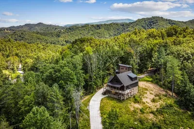 One winding drive up and the world drops away. Deep forest, long views, and a cabin built specifically to take all of it in.