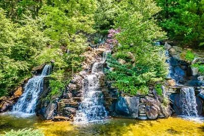 Swim under the sun, with waterfalls as your backdrop—nature’s perfect pool day.