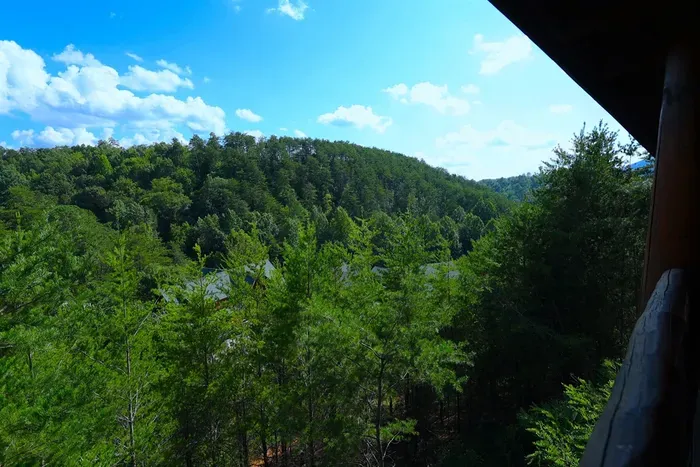 Enjoy the view from the back deck.