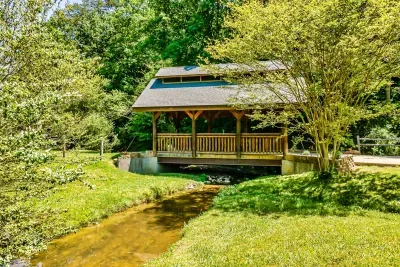 Cross over to calm waters and quiet moments—nature’s little escape.