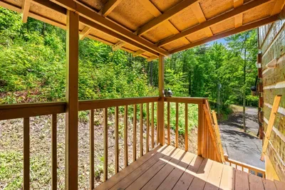 A covered deck tucked into the treetops — shade, a sturdy rail, and a green view that rolls down the hillside. The spot to catch the morning before the day begins. Just you and the woods.