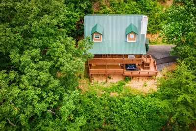 Treetop cabin with private wraparound deck, tucked into the Blue Ridge canopy — your own slice of forest seclusion with room to breathe in every direction.