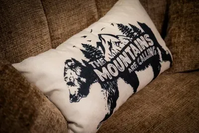 The mountains are calling — and this cabin answers. Sink into the sofa, breathe it all in, and let the Blue Ridge do the rest.