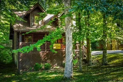 The deck reaches out into the treetops — dappled afternoon light, a green wall of forest standing in for a privacy fence, and the sound of leaves instead of traffic.