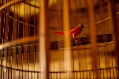 A red cardinal perched in a vintage cage — one of the small collected details that make this cabin feel gathered over years rather than ordered out of a single catalog.
