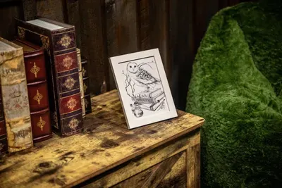 A spellbound corner: antique books, a hand-inked owl sketch, and a mossy-green chair made for curling up. The themed touches here run deeper than most guests expect.