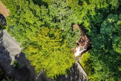 Aerial proof of the privacy — the cabin nearly disappears into the tree canopy, with the hollow and the creek just beyond. Wooded seclusion, quiet in every direction