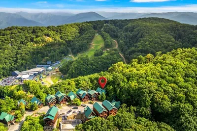 Come home to this! Our beautiful cabin awaits, nestled in nature. 🌲
