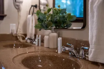 Fresh towels, greenery, and a spa-clean finish waiting for you — the kind of bathroom details that make a cabin feel cared-for from the first rinse.