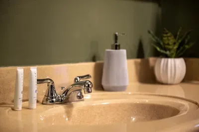 Clean lines, fresh greenery, and everything stocked and ready — the polished little touches that tell you a place is truly looked after. Settle in without a second thought.