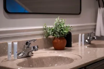Fresh greenery, clean counters, and everything stocked and ready — the finishing touches that quietly signal a place that's genuinely well cared for.
