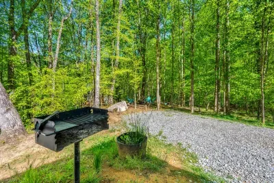 Exterior of cabin includes a charcoal grill.